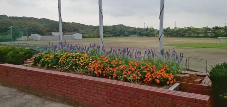 花壇とグラウンド
