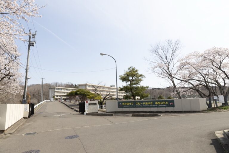 正門と桜
