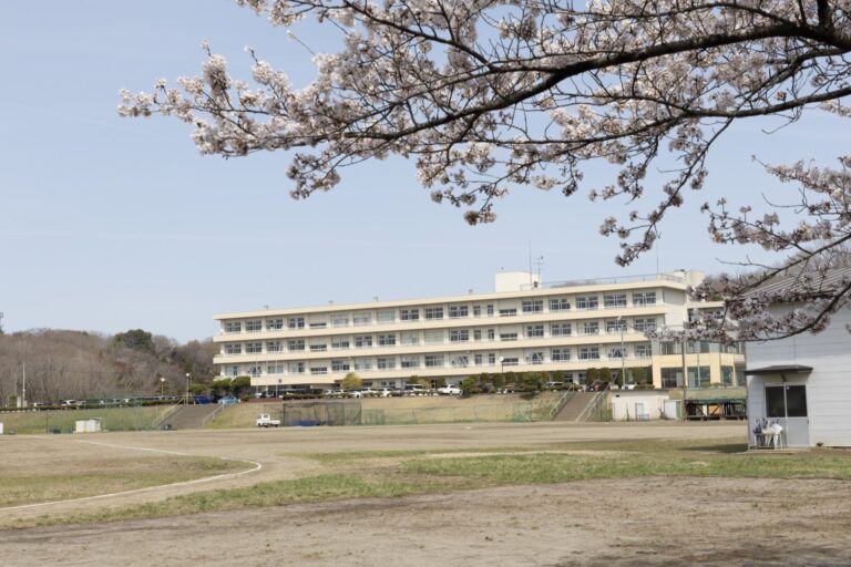 桜越しに望む校舎とグラウンド