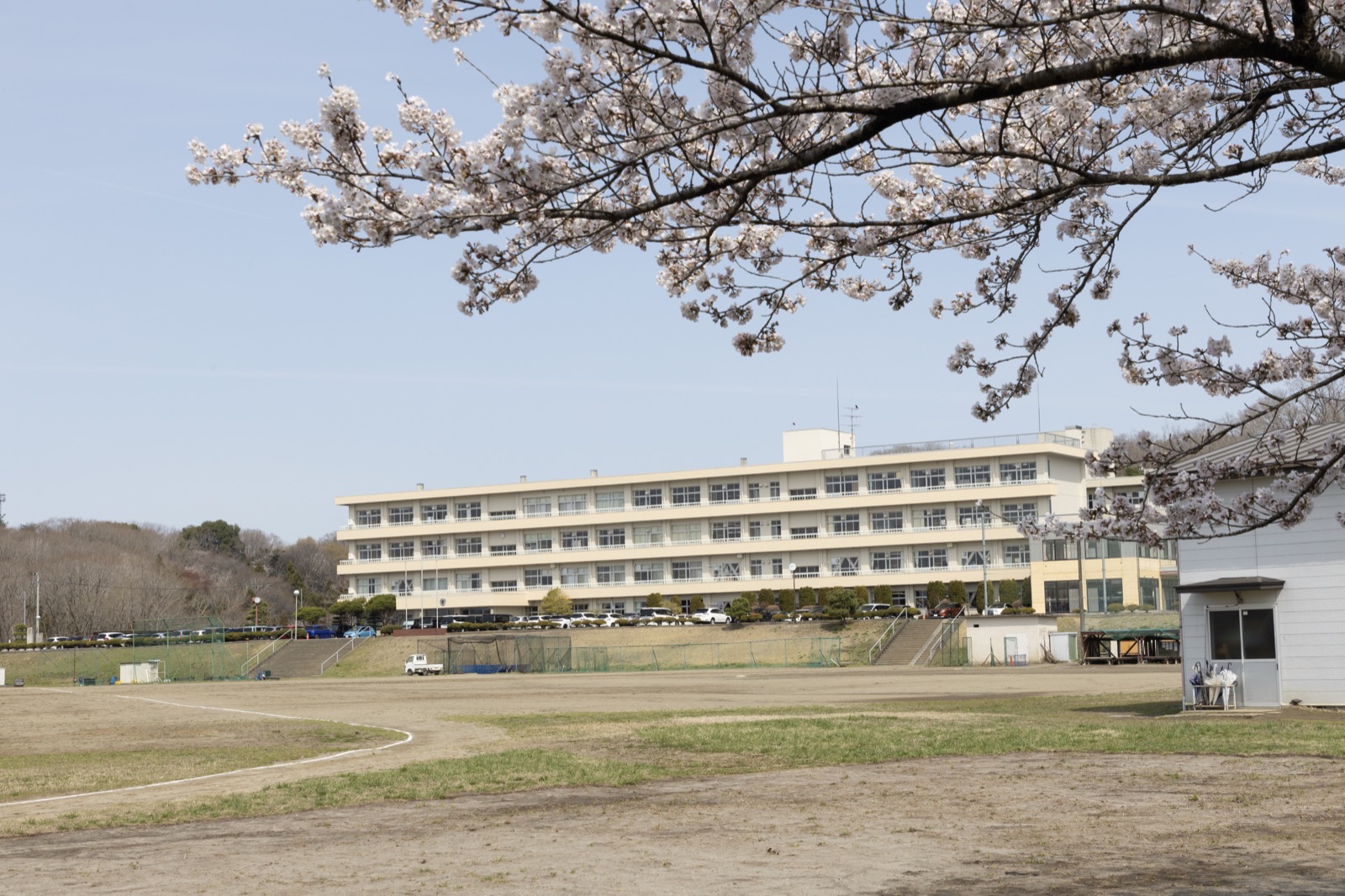 桜越しに望む宮城県泉松陵高等学校の校舎とグラウンド