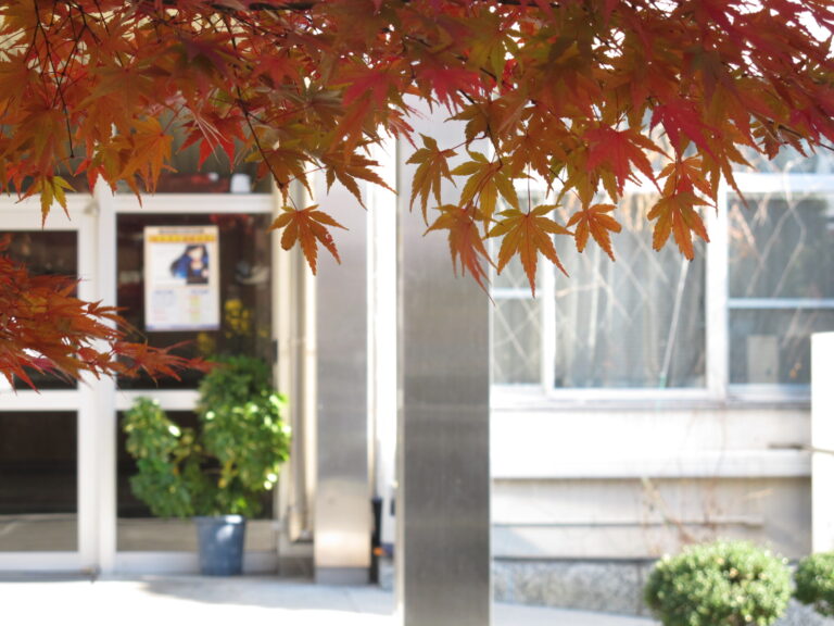 写真館 福岡県立京都高等学校同窓会常磐会 写真館 福岡県立京都高等学校同窓会常磐会