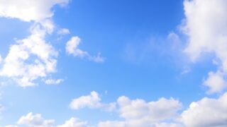 同窓会について