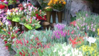 太高工房(企業・お店の紹介)