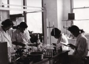 静岡女子短期大学での化学実験の授業風景