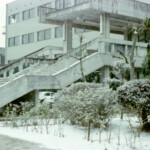 雪景色・昭和52年(1977年)頃